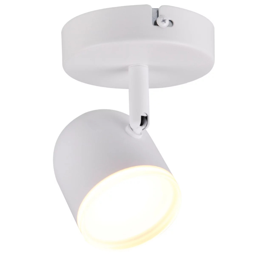 LED Nástenné bodové svietidlo RAWI LED/4,2W/230V biela