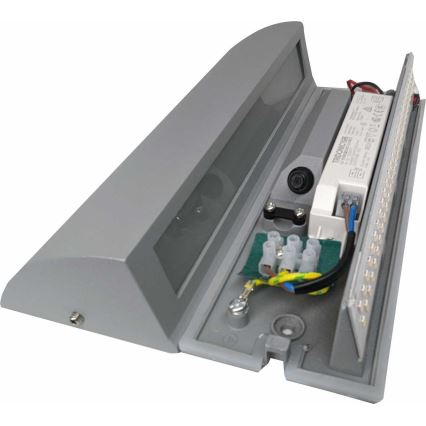 LED Nástenné svietidlo LED/10W/230V IP54