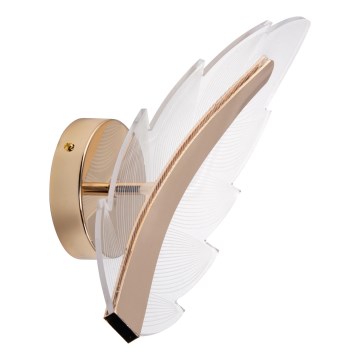 LED Nástenné svietidlo LED/12W/230V 3000-6500K zlatá
