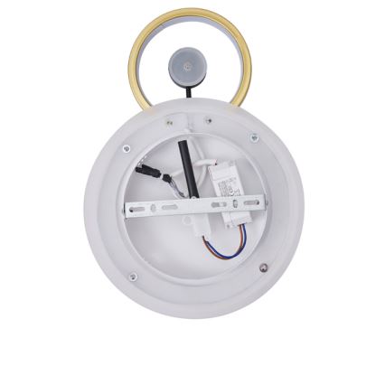 LED Nástenné svietidlo LED/15W/230V 3000K