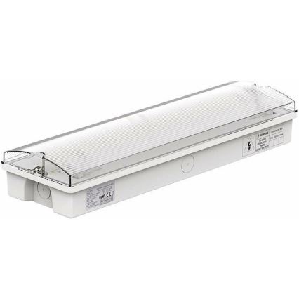 LED Núdzové svietidlo s pravidelným testom funkčnosti EMERGENCY EXIT LED/3W/230V 6400K IP65