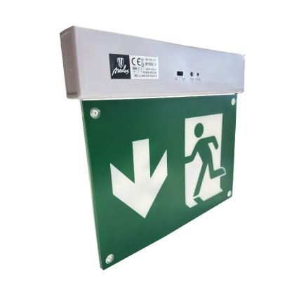 LED Núdzové svietidlo LED/2W/230V 6000K 300 mAh