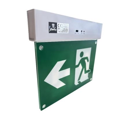 LED Núdzové svietidlo LED/2W/230V 6000K 300 mAh