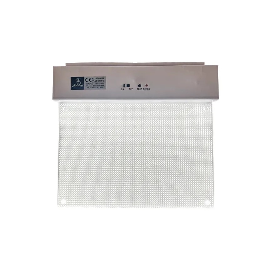 LED Núdzové svietidlo LED/2W/230V 6000K 300 mAh