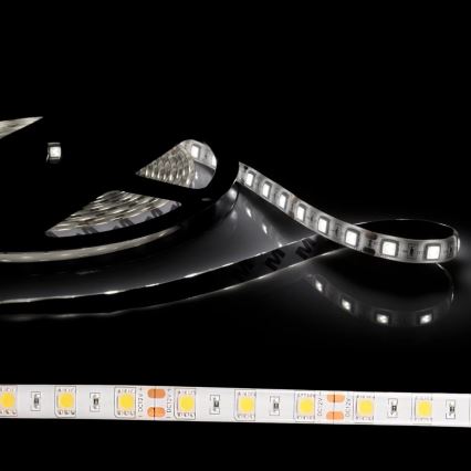 LED Pásik 5m 28W/12V IP65 6500K