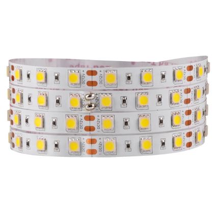 LED Pásik 5m LED/10W/12V IP20 biela