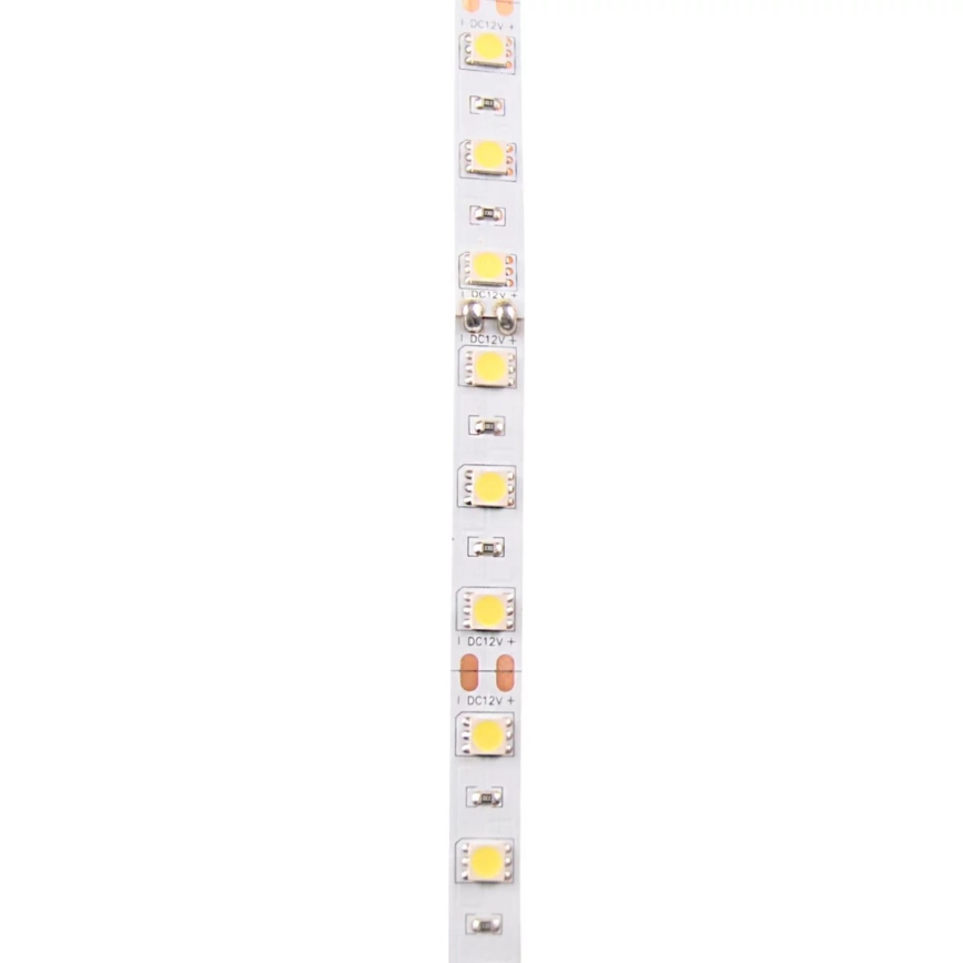 LED Pásik 5m LED/10W/12V IP20 biela