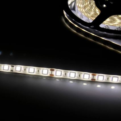 LED Pásik 5m LED/10W/12V IP20 biela