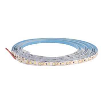 LED Pásik DAISY 5m studená biela