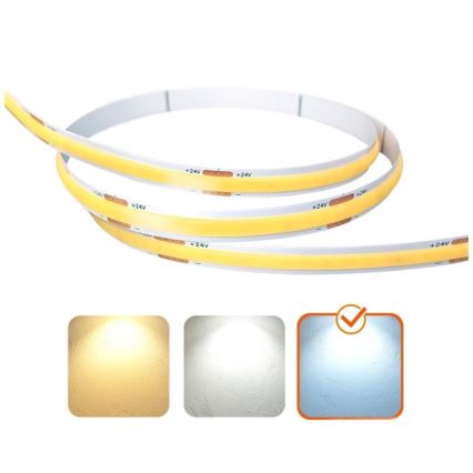 LED Pásik TRAMO LED/500W/24V 50 m 6500K
