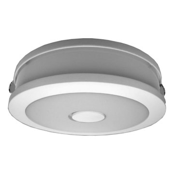 LED Podhľadové svietidlo SLATER LED/12W/230V 4500K pr. 12 cm