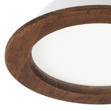 LED Podhľadové svietidlo WOODY SPOT LED/16,5W/230V 4000K čerešňa ø 18,5 cm