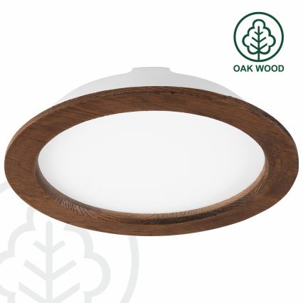 LED Podhľadové svietidlo WOODY SPOT LED/23,5W/230V 4000K čerešňa ø 23,5 cm