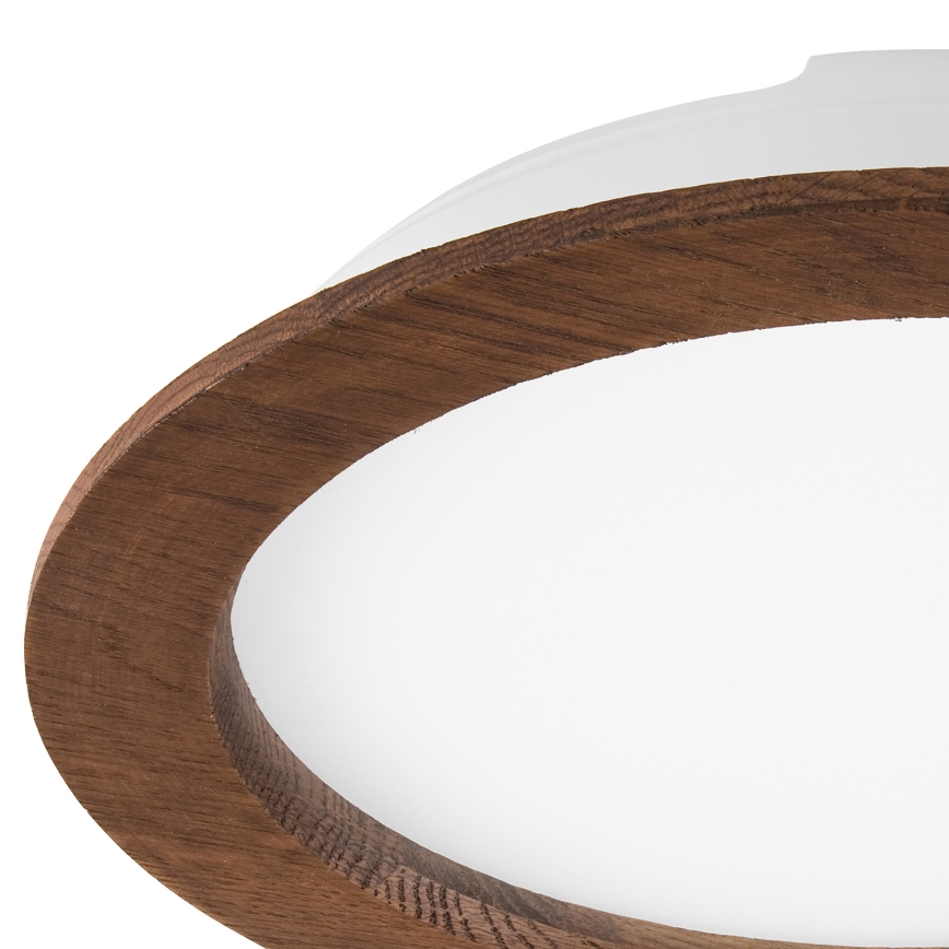 LED Podhľadové svietidlo WOODY SPOT LED/23,5W/230V 4000K čerešňa ø 23,5 cm