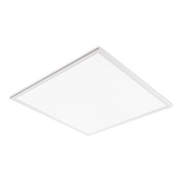 LED Podhľadový panel DAVRO LED/40W/230V 4000K 59,5x59,5 cm biela