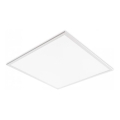 LED Podhľadový panel DAVRO LED/40W/230V 4000K 62x62 cm biela