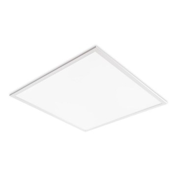 LED Podhľadový panel DAVRO LED/40W/230V 4000K UGR<19 59,5x59,5 cm biela