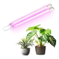 LED Podlinkové svietidlo na pestovanie rastlín GROWLY 2xLED/8,5W/230V biela