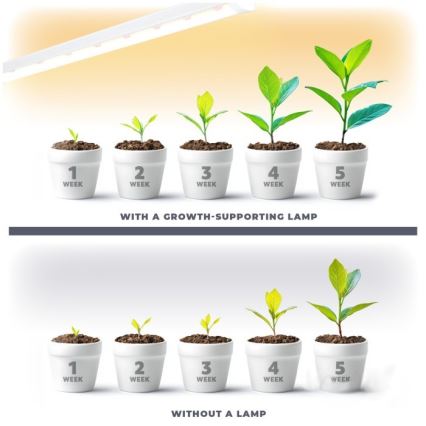LED Podlinkové osvetlenie na pestovanie rastlín GROWLY LED/9W/230V biela