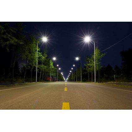 LED Pouličná lampa BOSTON LED/35W/230V IP65