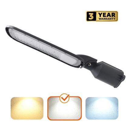 LED pouličné svietidlo BRELUXO LED/100W/230V 4000K IP65