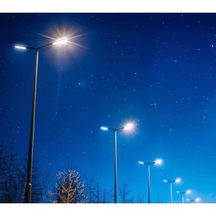 LED pouličné svietidlo BRELUXO LED/50W/230V 4000K IP65