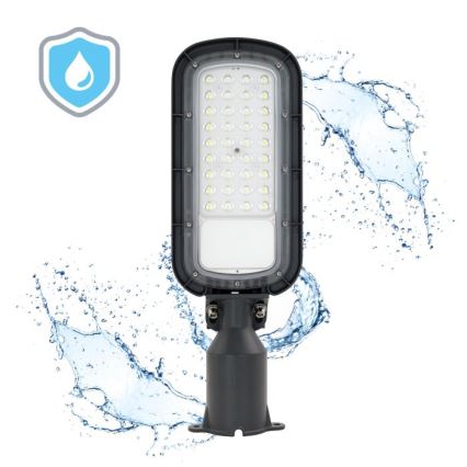 LED pouličné svietidlo BRELUXO LED/50W/230V 4000K IP65