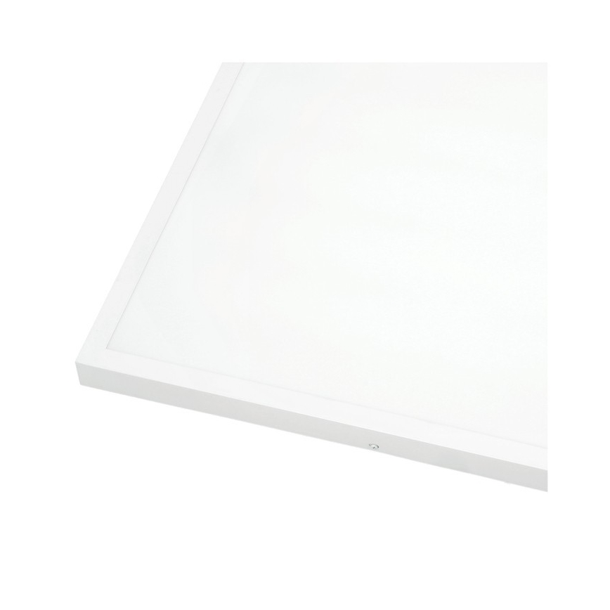 LED Prisadený panel BRISBANE LED/36W/230V 4000K 59,5x59,5 cm biela