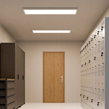 LED Prisadený panel LED/60W/230V 30x120 cm biely