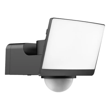 LED reflektor DAVOS s pohybovým a súmrakovým senzorom, LED/30W/230V, IP54, čierny