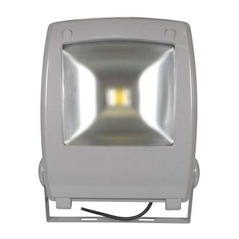 LED Reflektor FLOOD FE-N LED/50W/230V IP65