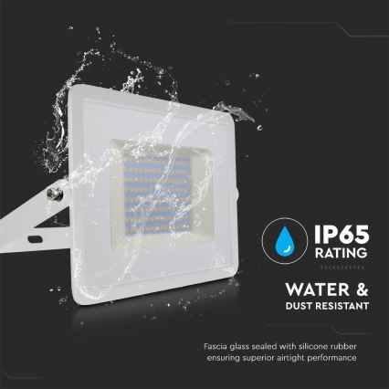 LED Reflektor LED/100W/230V 6500K IP65 biela