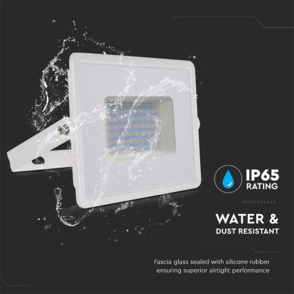 LED Reflektor LED/50W/230V 6500K IP65 biela