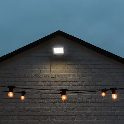 LED Reflektor LED/50W/230V IP65 3000/4000/6500K šedá