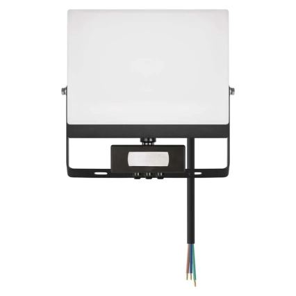 LED reflektor s pohybovým a súmrakovým senzorom TAMBO EVO LED/50W/230V 4000K IP44 čierna