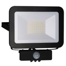 LED Reflektor so senzorom LED/30W/230V IP65