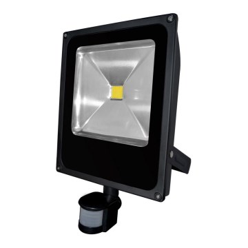 LED Reflektor so senzorom pohybu DAISY LED/50W/230V IP44 LED Reflektor so senzorom pohybu DAISY LED/50W/230V IP44