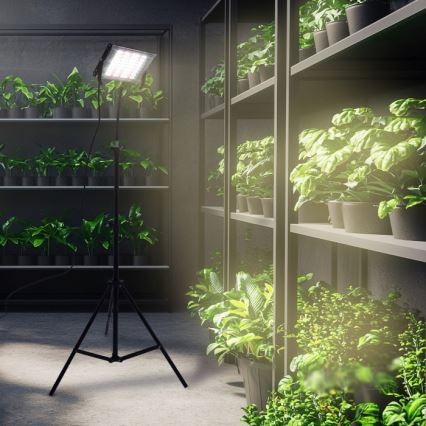 LED Reflektor so stojanom na pestovanie rastlín FIRON LED/45W/230V IP54 čierna