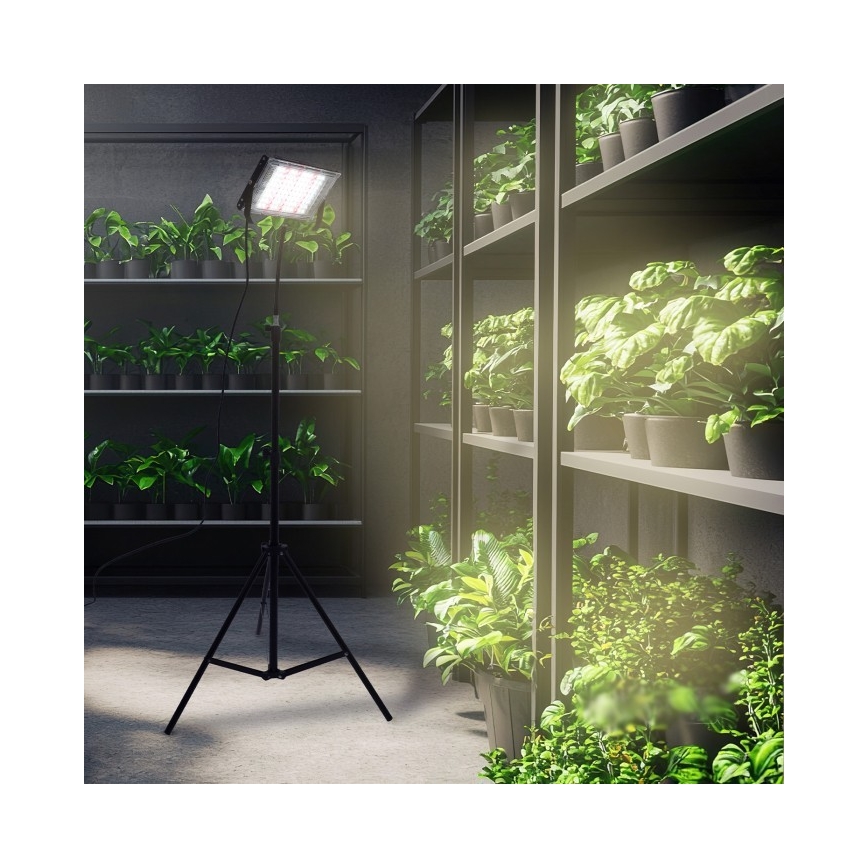 LED Reflektor so stojanom na pestovanie rastlín FIRON LED/45W/230V IP54 čierna