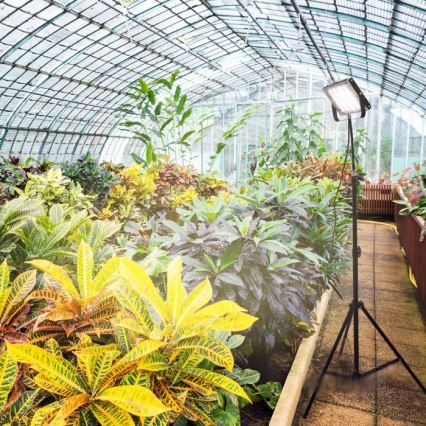 LED Reflektor so stojanom na pestovanie rastlín FIRON LED/45W/230V IP54 čierna