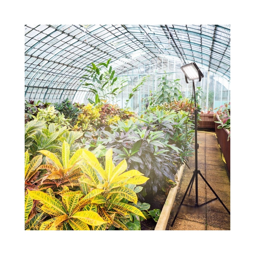 LED Reflektor so stojanom na pestovanie rastlín FIRON LED/45W/230V IP54 čierna