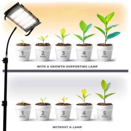 LED Reflektor so stojanom na pestovanie rastlín FIRON LED/45W/230V IP54 čierna