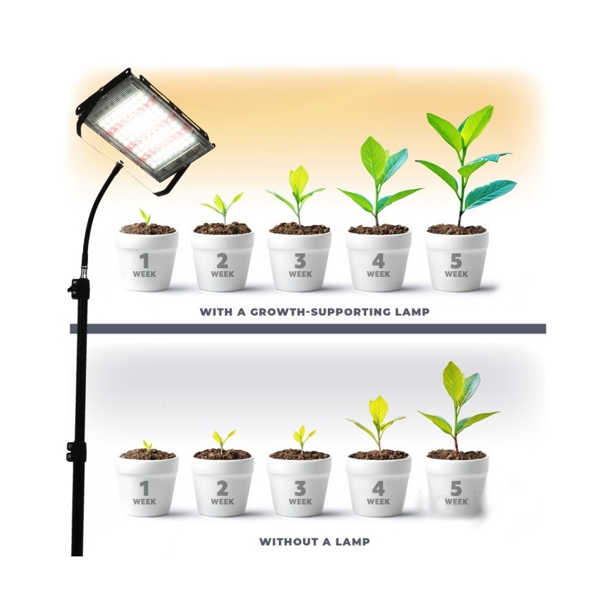 LED Reflektor so stojanom na pestovanie rastlín FIRON LED/45W/230V IP54 čierna