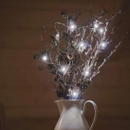 LED reťaz 20× LED / 2× AA, 2,4 m, studená biela