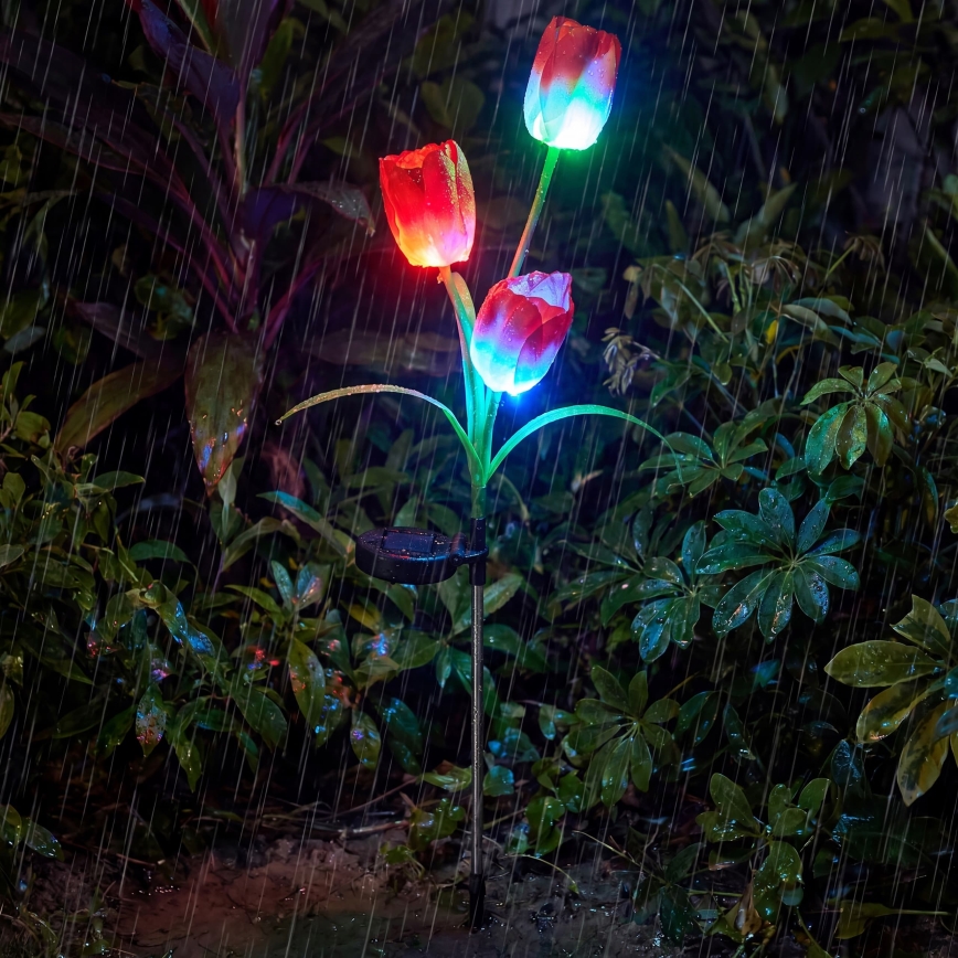 LED RGB Solárne dekoratívne svietidlo 3xLED/3,7V 200 mAh IP44 tulipán