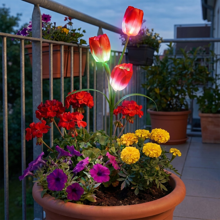 LED RGB Solárne dekoratívne svietidlo 3xLED/3,7V 200 mAh IP44 tulipán