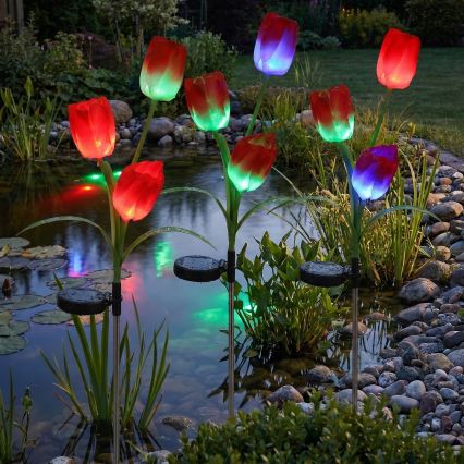 LED RGB Solárne dekoratívne svietidlo 3xLED/3,7V 200 mAh IP44 tulipán
