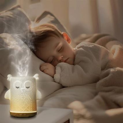 LED RGBW Aróma difúzor LED/8W/230V 100 ml sova