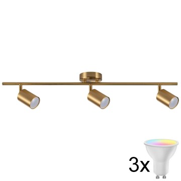 LED RGBW Stmievateľné bodové svietidlo GOLDIE 3xGU10/4,8W/230V 3000K zlaté + diaľkové ovládanie