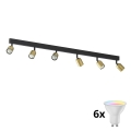 LED RGBW Stmievateľné bodové svietidlo TOP 6xGU10/6,5W/230V 2700-6500K zlatá/čierna